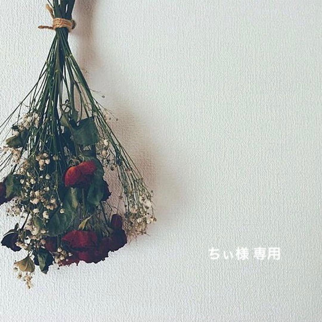 ちぃ 佐々木舞香 瀧脇笙古 まとめ売り