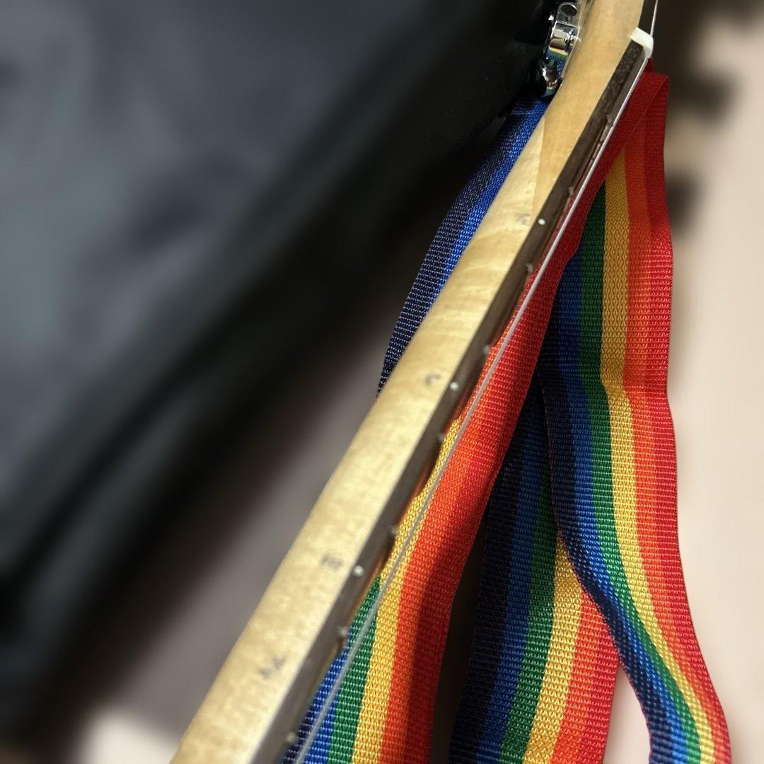 ますぎ様★Pignose PGG-200 アンプ内蔵 ミニエレキギター