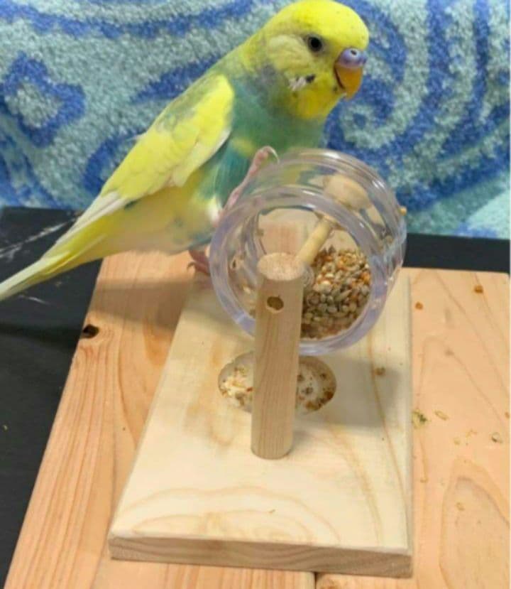 D33　⭐　ミラーボードとフォージングトイセット(大)⭐　インコ　バードトイ