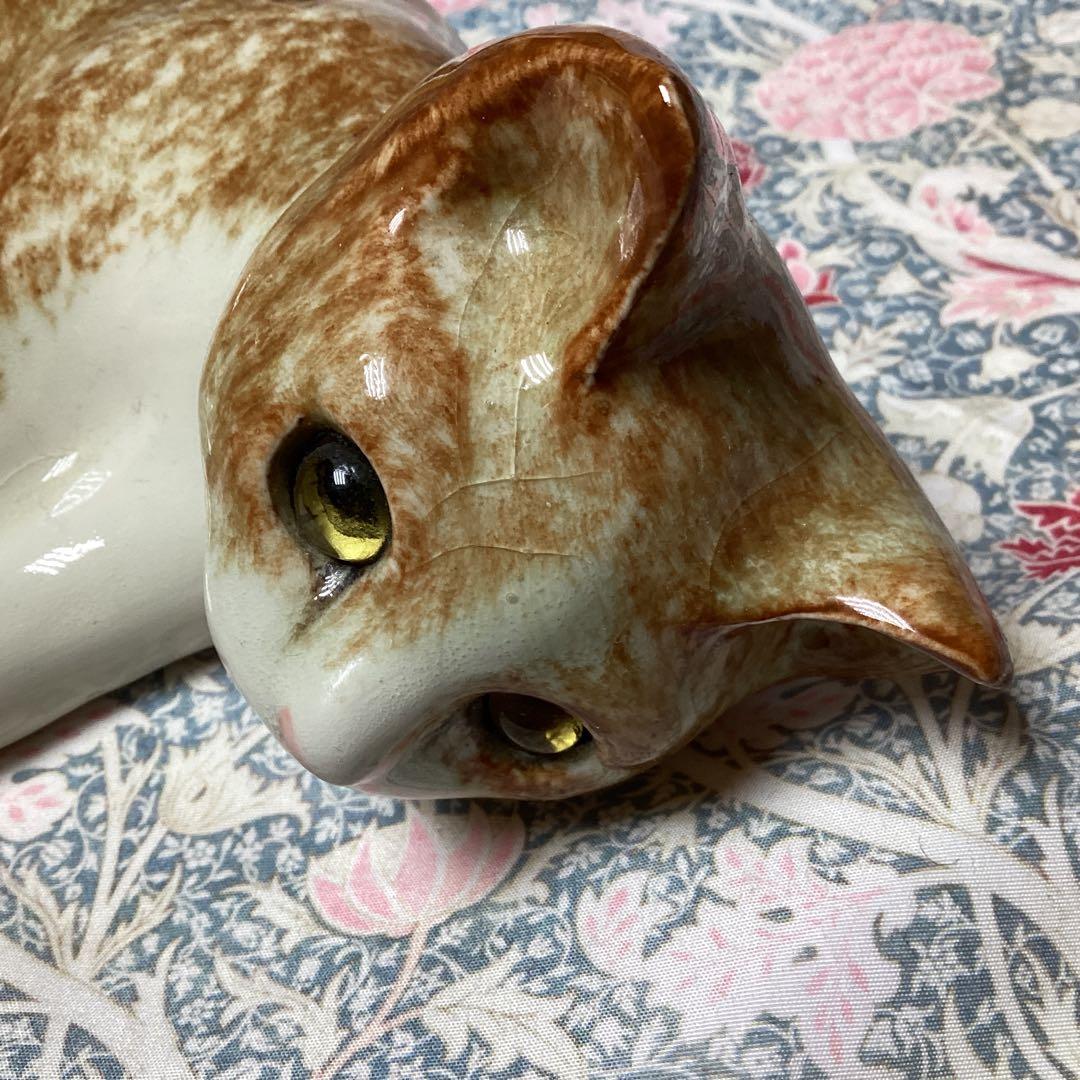 ウィンスタンレイキャットサイズ4の超美人猫SaksFifthAvenue貴重な子