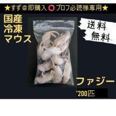 ★すず＠即購入⭕️プロフ必読★国産冷凍マウス ファジー 200匹