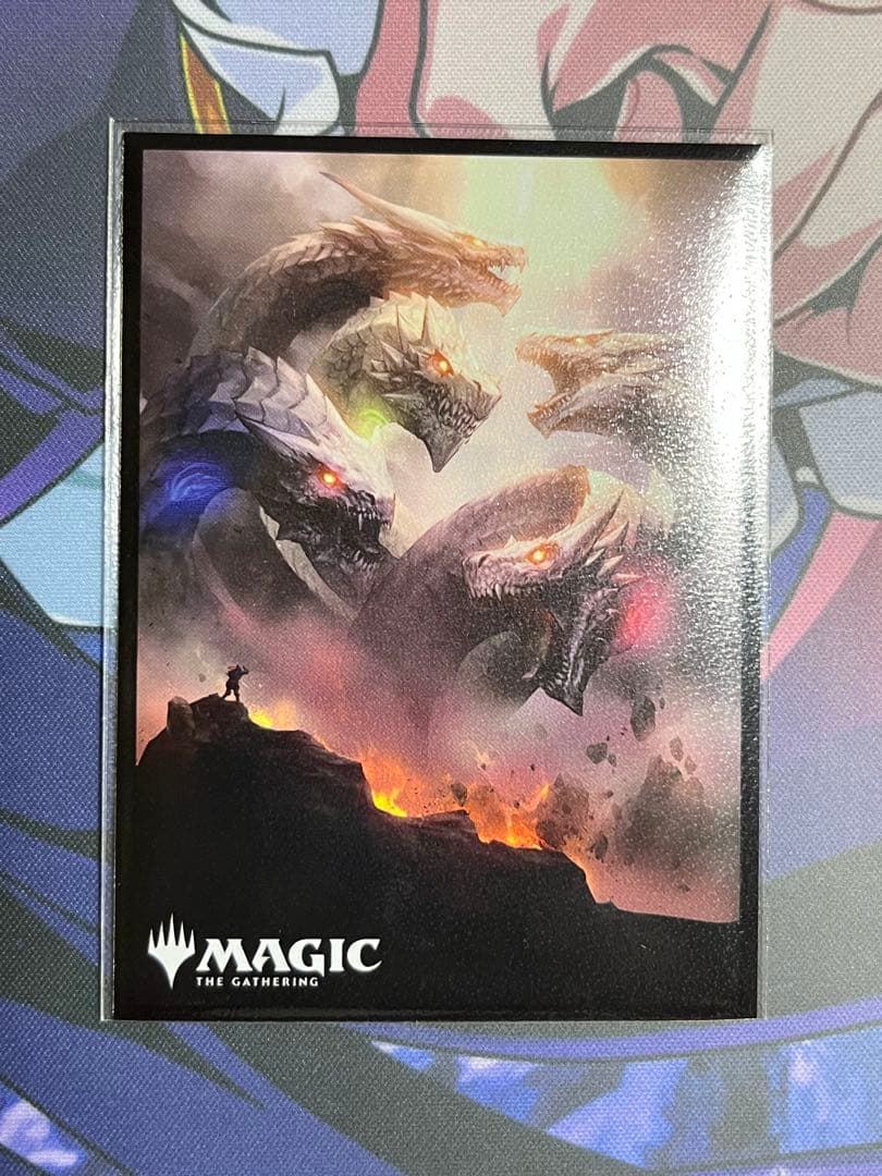 【野獣魂】ラッカゾージア　構築済みデッキ