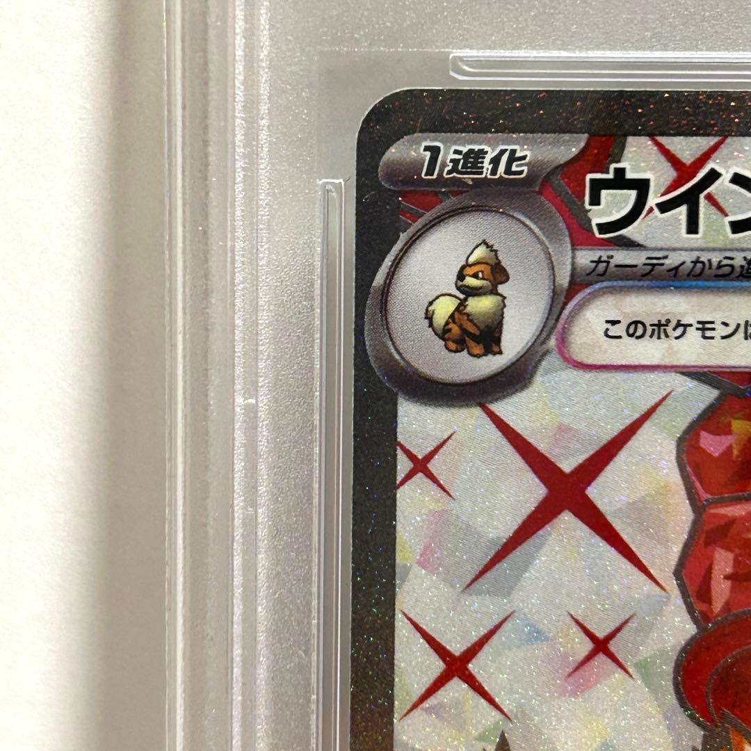 【PSA10】ギャラドス、ウィンディ、デデンネ