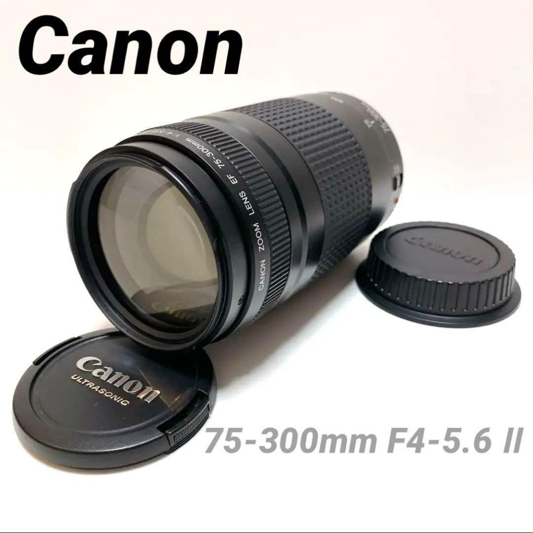 【美品】Canon 75-300mm F4-5.6 Ⅱ 超望遠レンズ