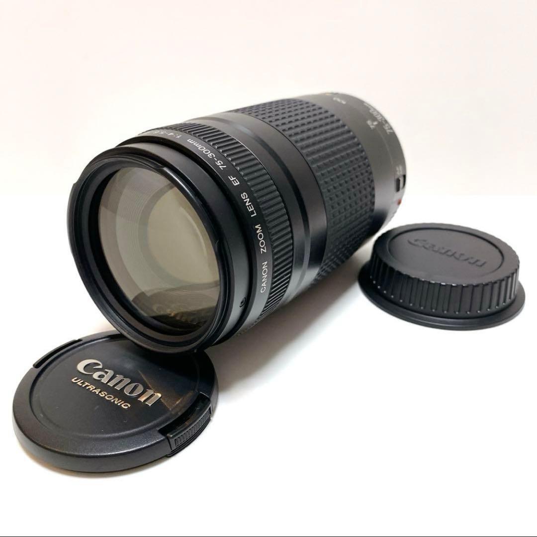 【美品】Canon 75-300mm F4-5.6 Ⅱ 超望遠レンズ