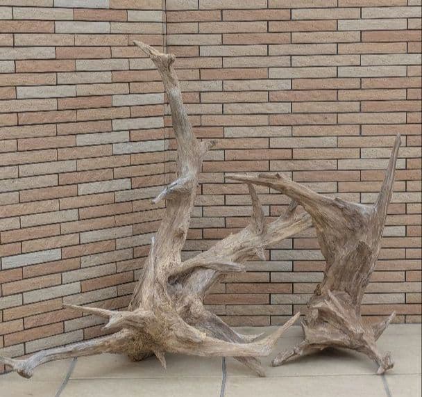 流木(630)　大型流木2点セット　アクアリウム　テラリウム