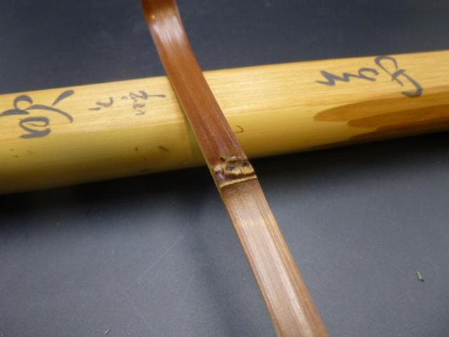 裏千家十三代　円能斎　自作茶杓／共箱・共筒／銘「山吹」