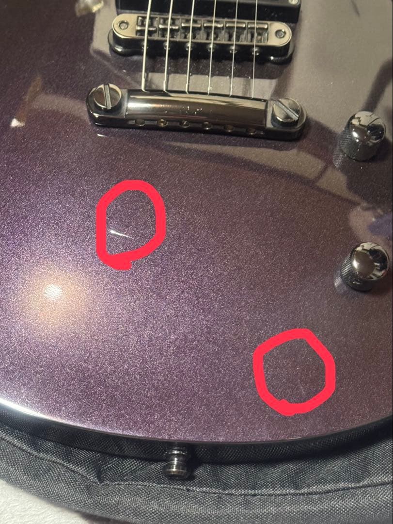 FERNANDES RE-95G 瀧川一郎モデル　紫パープル　中古