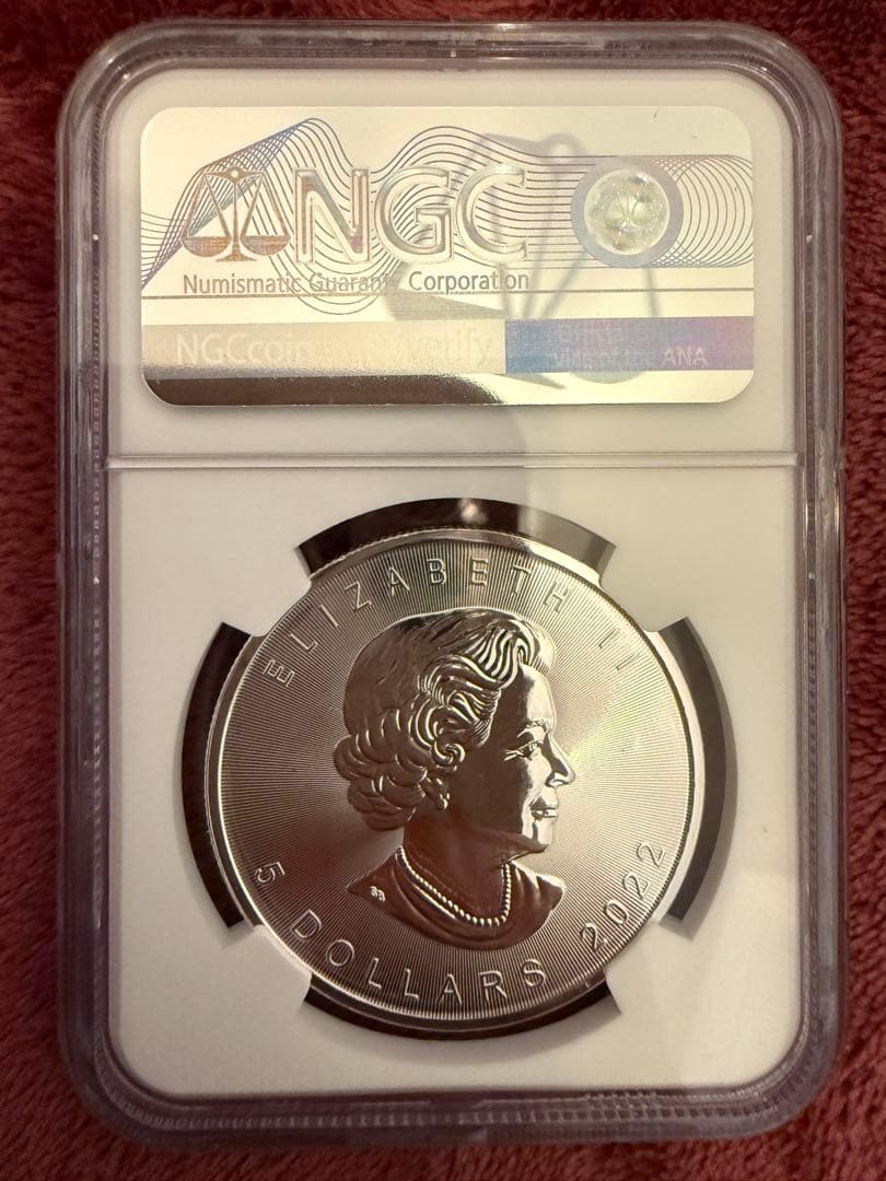 銀貨 2022  Maple Leaf MS69 a