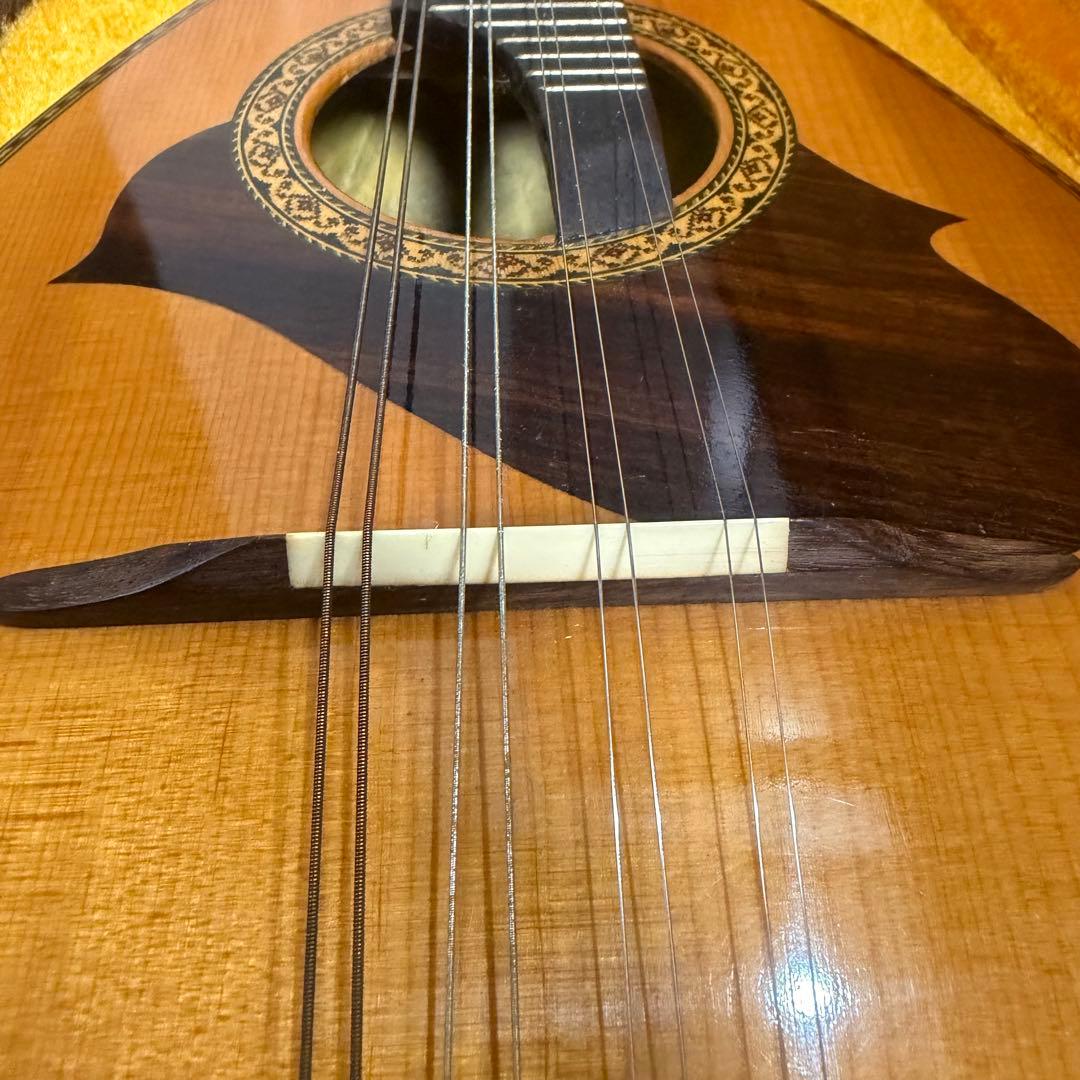 【希少ハードケース付き】スズキ　マンドリン　M-215 1974年製