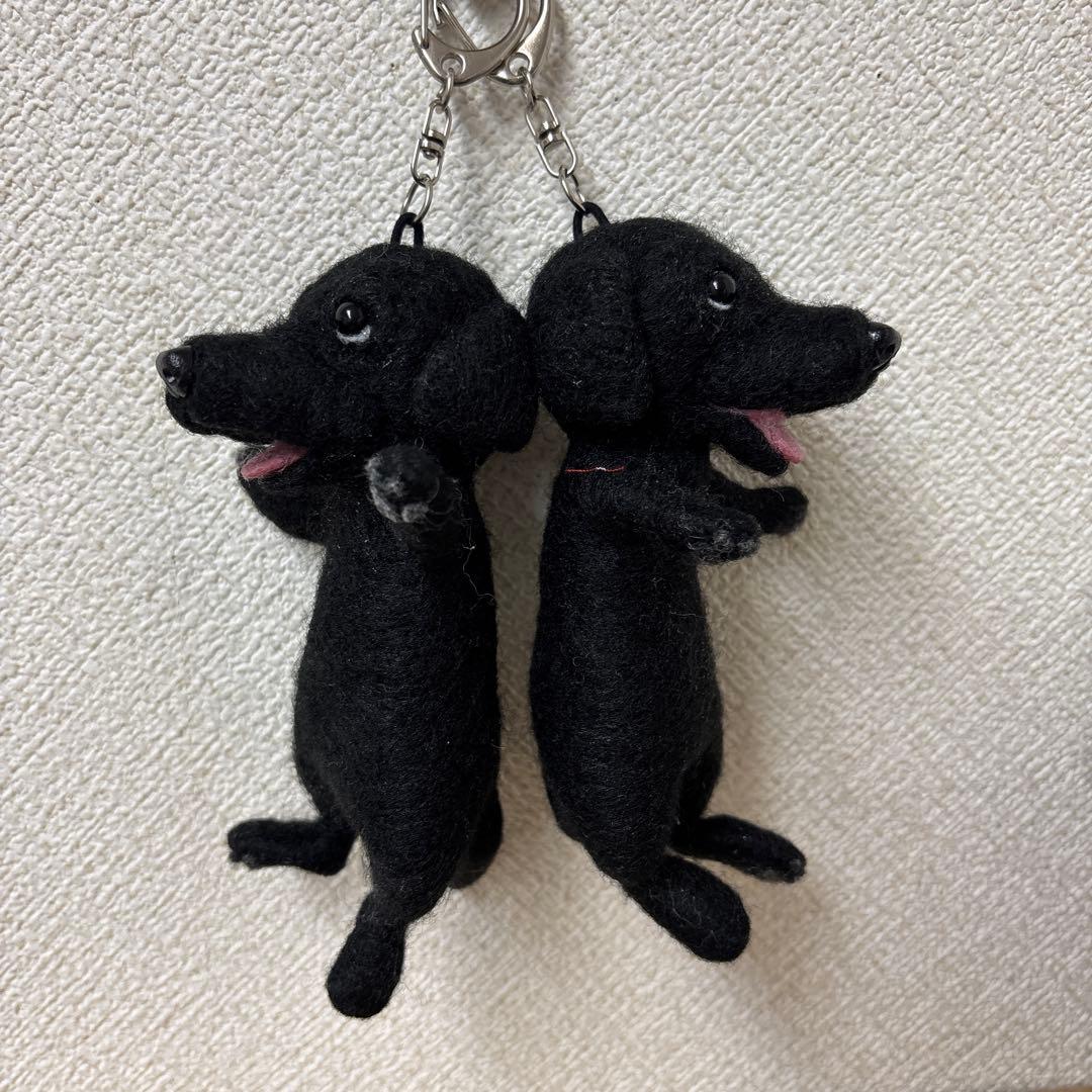 樹里(o^^o)♪♪♪