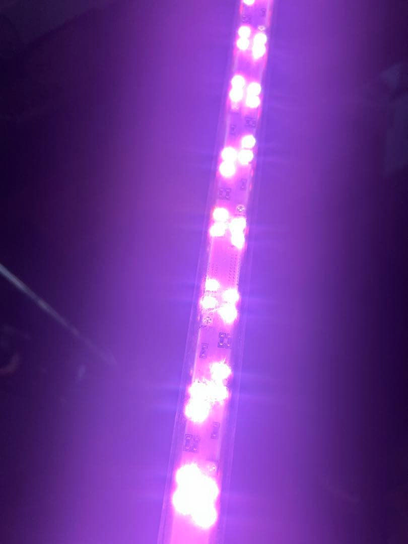 [minila/ASK] 煌LED水中LEDライト　150センチ