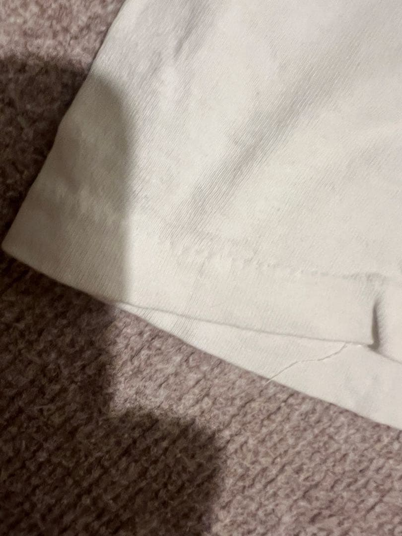 Dinosaur Jr. Tシャツ　ヘインズ USA製