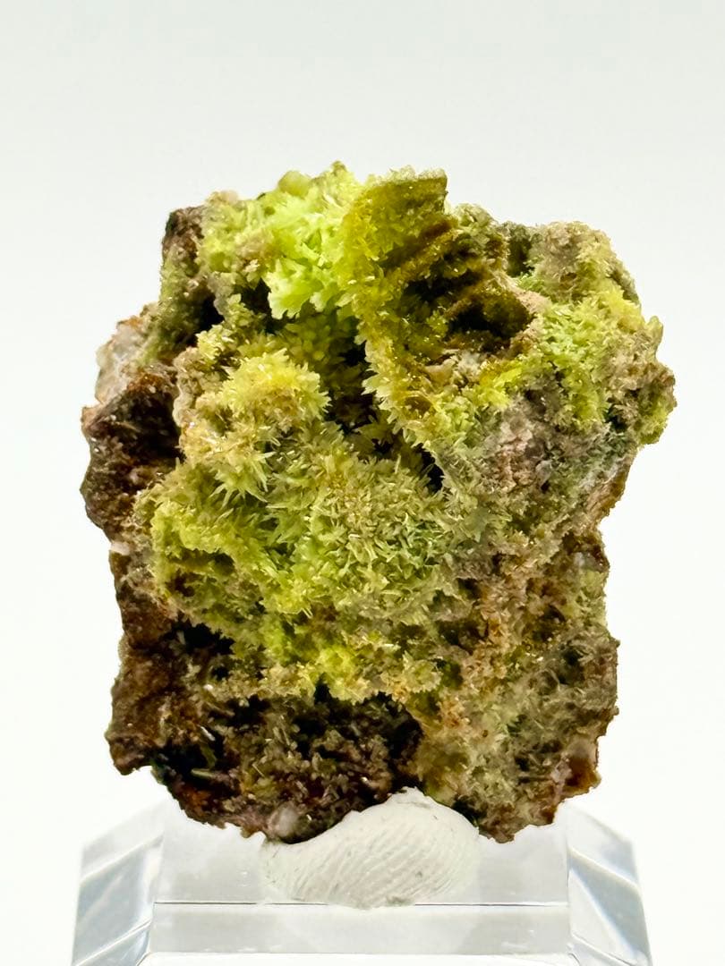 パイロモルファイト　緑鉛鉱　原石　鉱物標本　天然石　鉱石