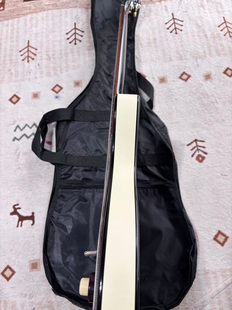 超美品！メンテナンス済み　Danelectro 59 DC