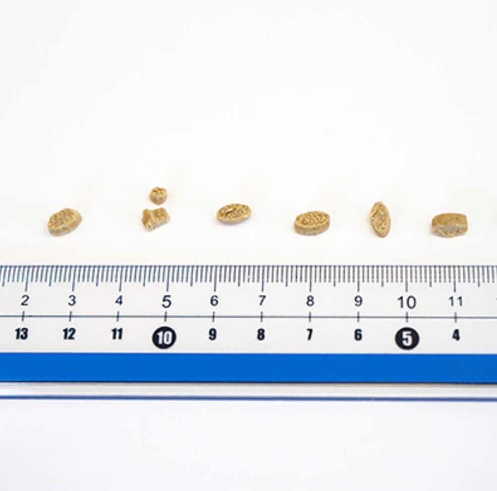 yumyumyum！ ヤムヤムヤム！ 健康マネジメント 腎臓 1.3kg ４袋