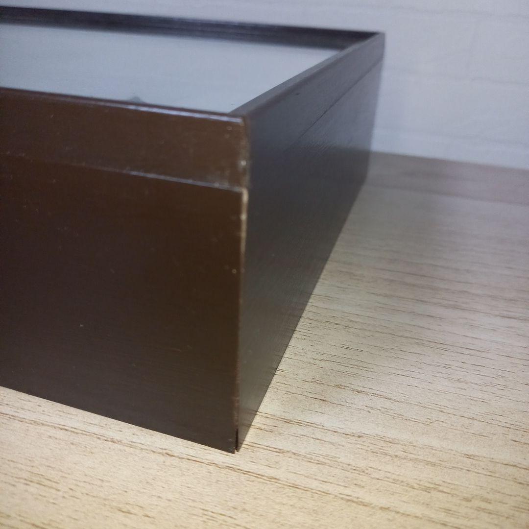 【アクティオンゾウカブトムシ】 アクティオン標本 　昆虫セット　オスメスペア