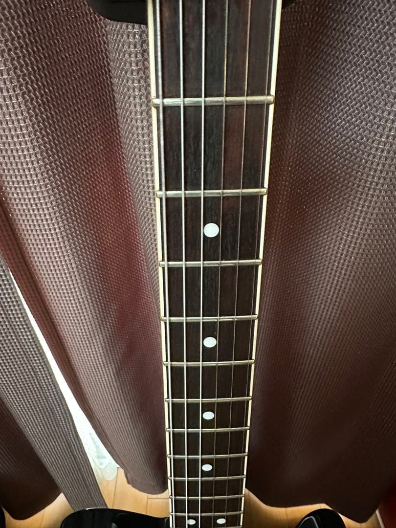 FERNANDES　TEJ-70　F.G.I. テクノロジー　アクティブPU