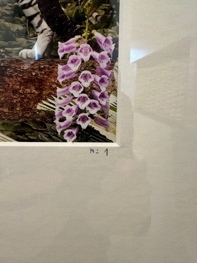 【YellowKorner 】No.1フォトアート STUDIO MORIN