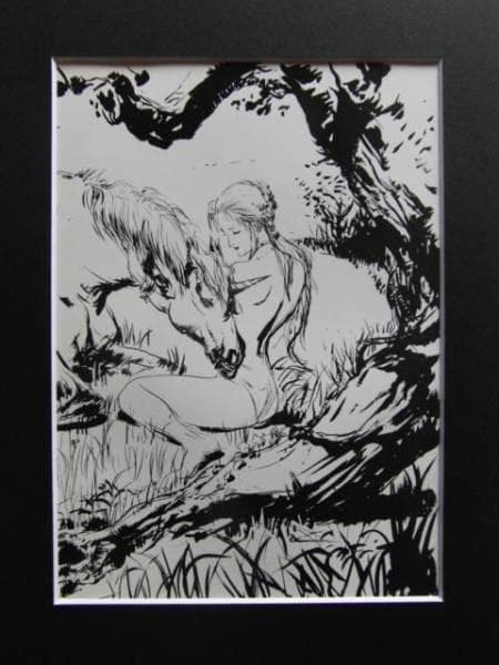 天野　喜孝、ファーラムの剣、希少な画集より、新品額装付、状態良好