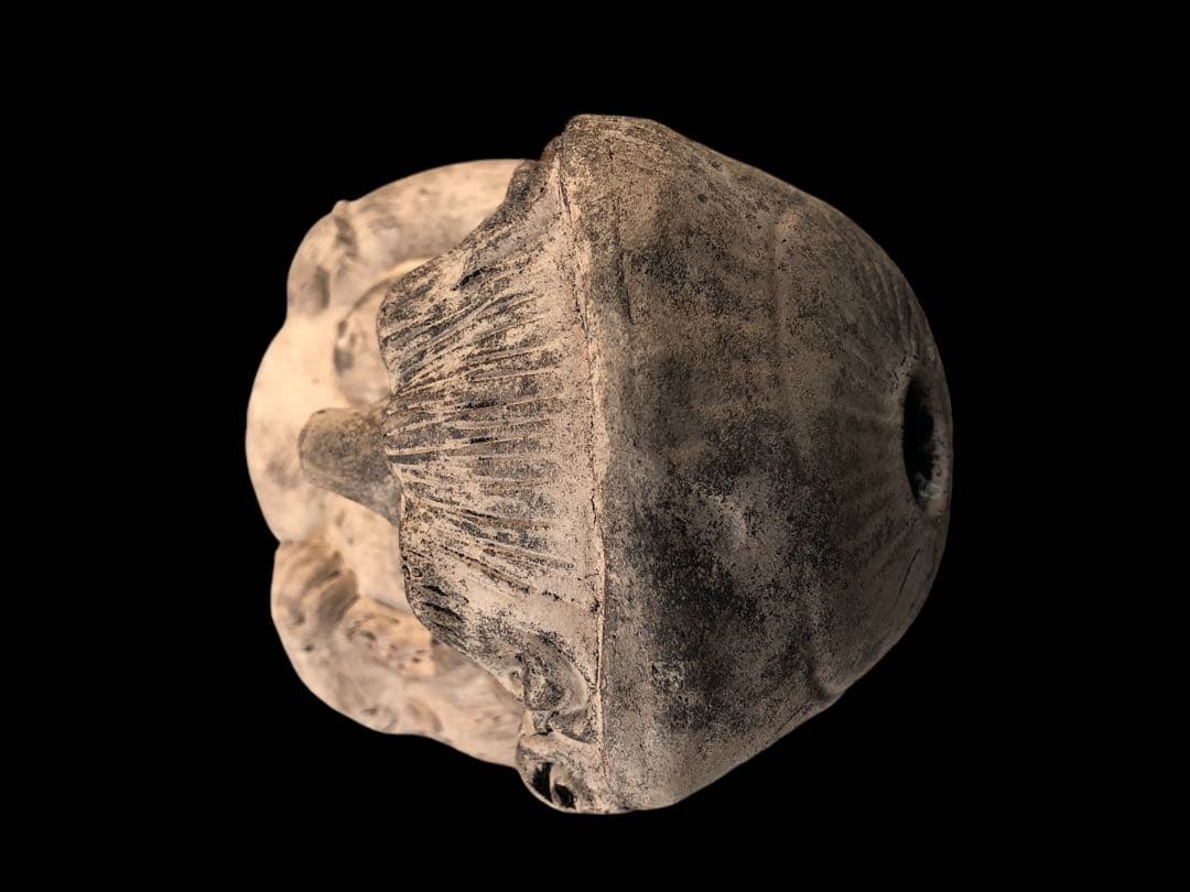 信楽焼／たぬき／骨董／希少／アンティーク／ヴィンテージ　29センチ　レア　古狸