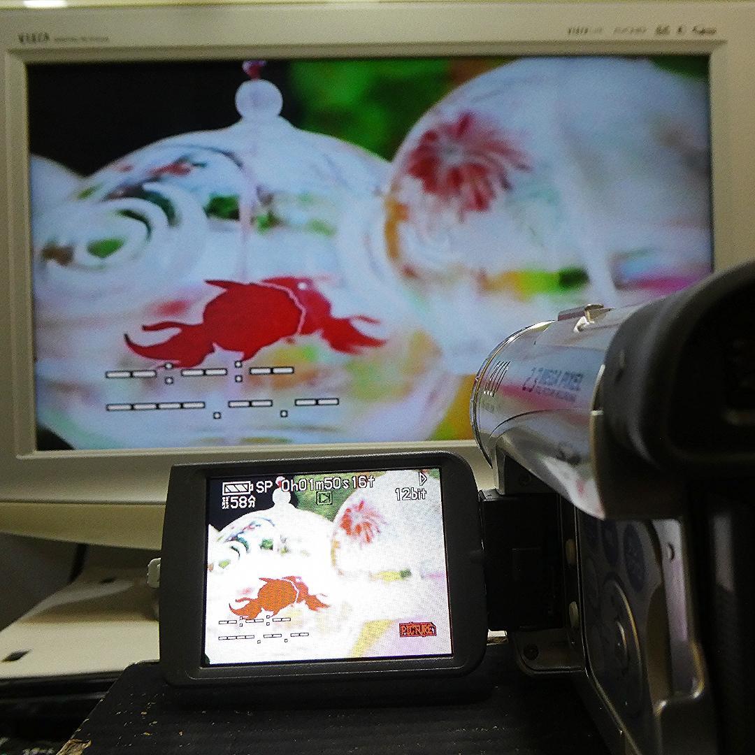 動作良好 パナソニック NV-GS200 MiniDVビデオDVDダビングに最適