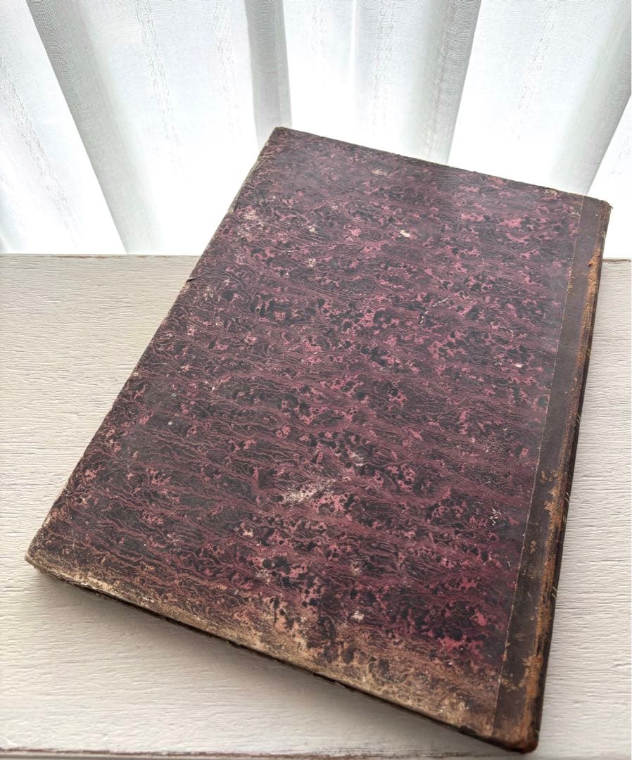 専用　フランス　アンティーク　ファッション雑誌　1869年　年鑑本　モード　洋書