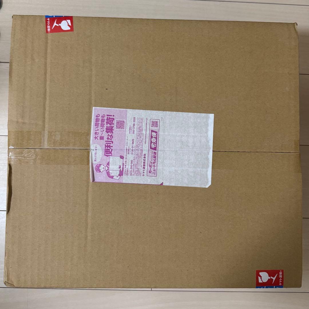 LABUBU THE MONSTERS Big into Energy正規品*2