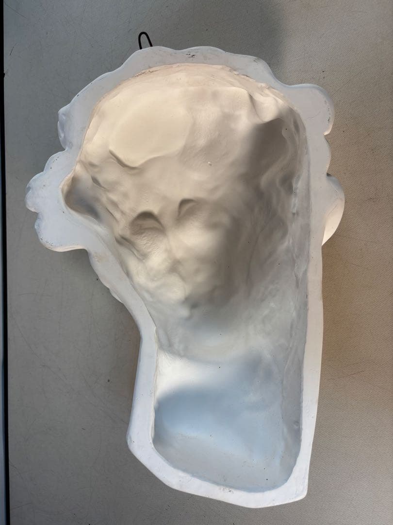 石膏像　メディチ　デッサン　半面像　美術　絵画　オブジェ　彫刻　アート
