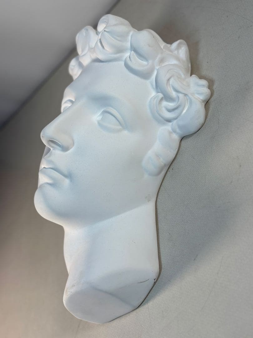 石膏像　メディチ　デッサン　半面像　美術　絵画　オブジェ　彫刻　アート