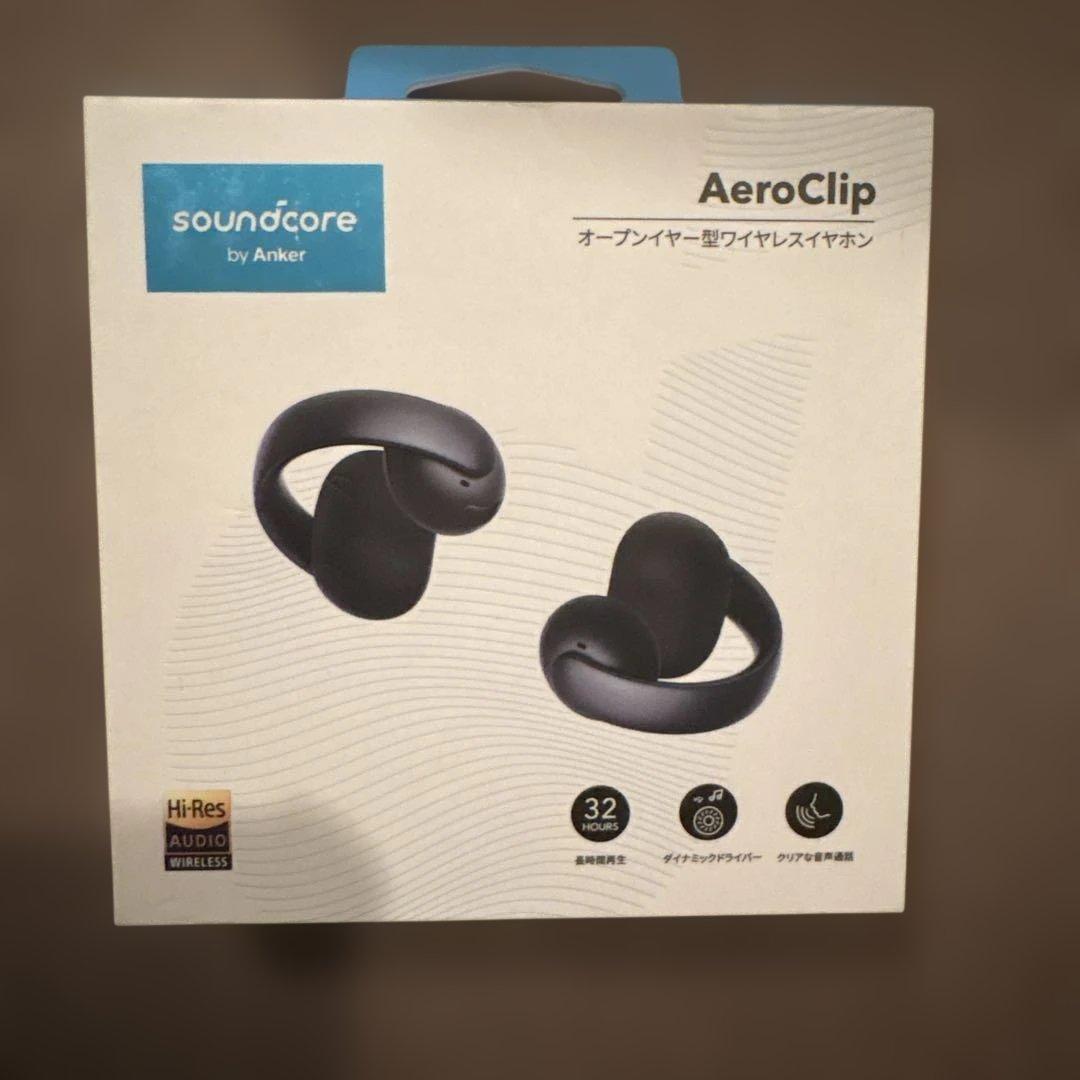 【ゆきだる】Anker soundcore ワイヤレスイヤホン