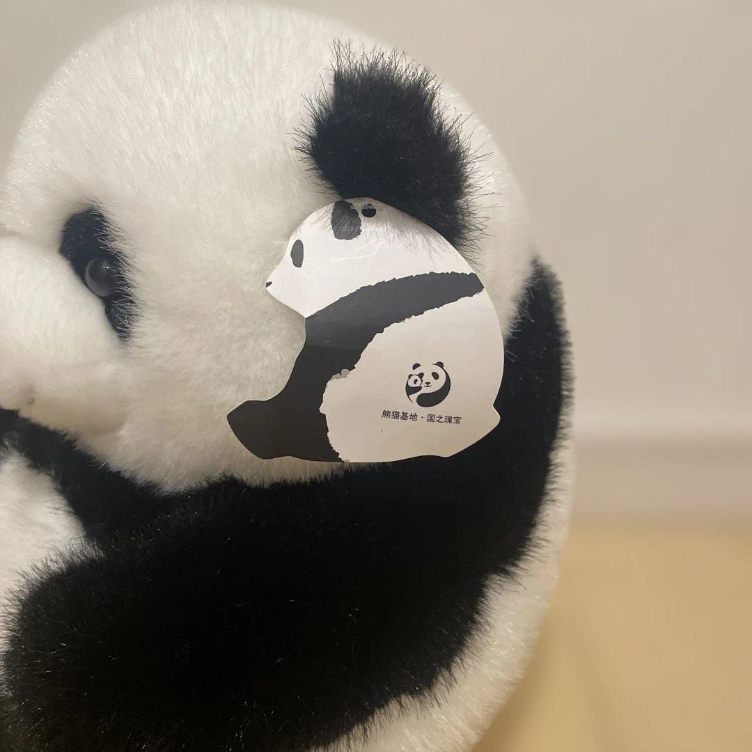 【中国土産】リアルパンダ　ぬいぐるみ　タグ付き