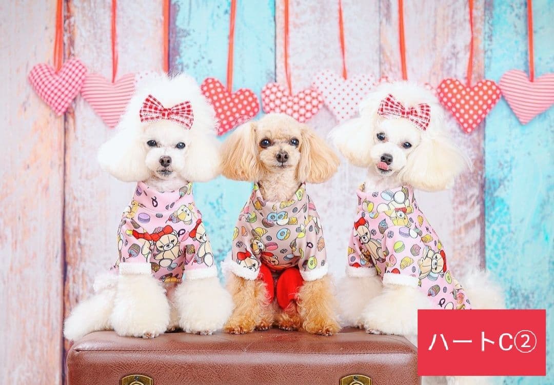 バレンタイン背景布【ハートC】サンプル　ペット撮影用　トリミングチョーカー販売中