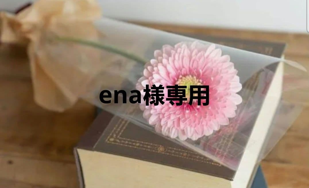 ena‼️新品レバコールα 4本入り2箱