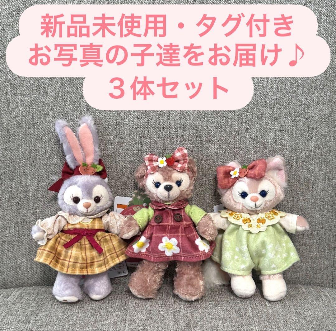 東京ディズニーシー　ハートフェルトストロベリーギフト　ぬいぐるみバッジセット