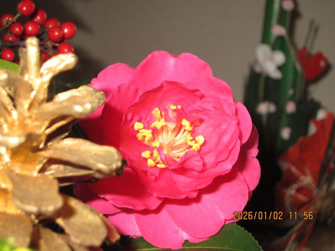 キヤノン　IXY 30S シルバー　イクシー　CANON IXC-420 ピンク