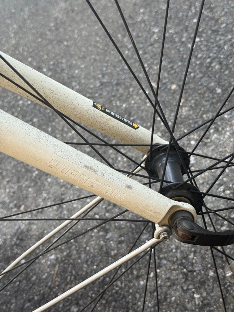 ニ*☆様 ブリヂストン　CYLVA F24 (シルヴァF24) ホワイト クロス