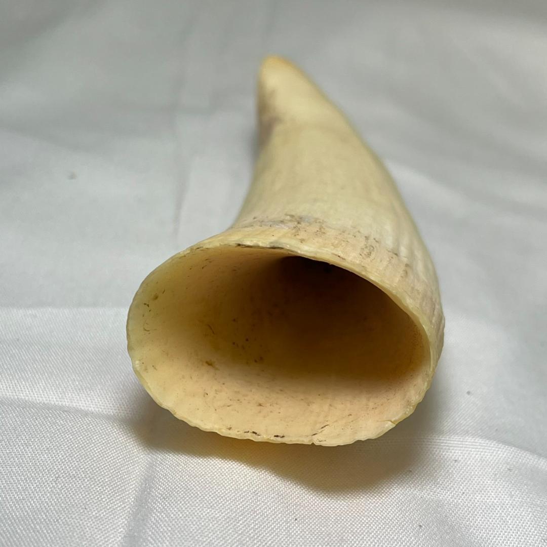 ポ*読様 【中古】海洋工芸社 くじら工芸 鯨 置物 インテリア