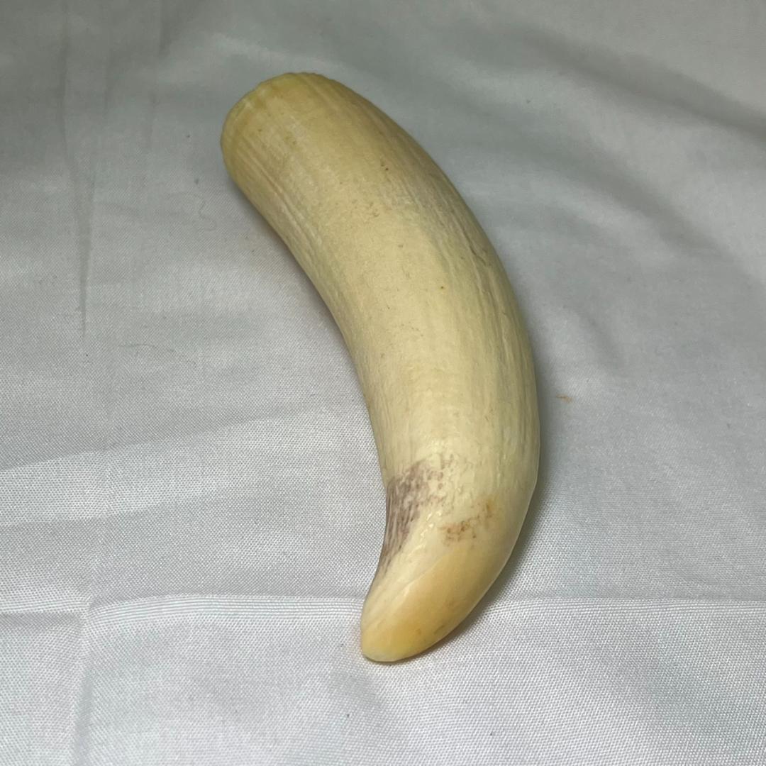 ポ*読様 【中古】海洋工芸社 くじら工芸 鯨 置物 インテリア