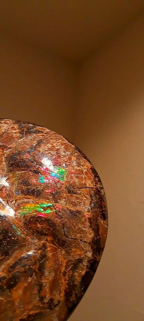 アンモライト　カナダアルバータ　化石　完全体　両面虹色　７色