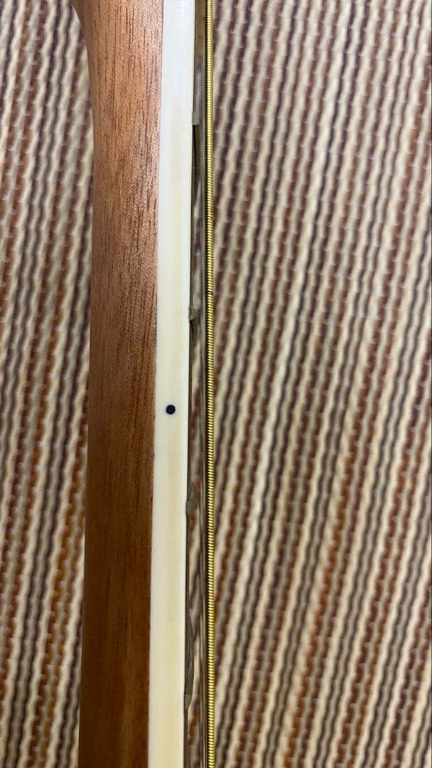 Orangewood T110 NS アコースティックギター