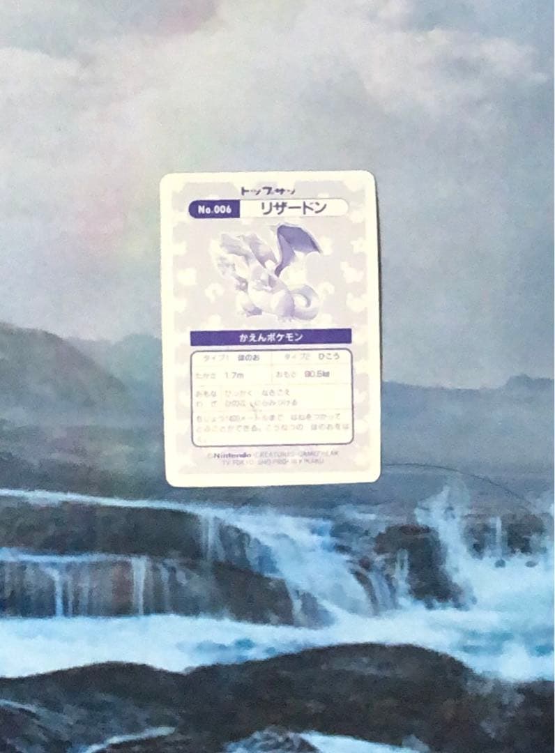 ポケモン トップサン リザードン