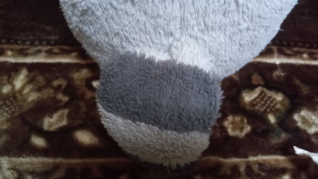 ニトリ　Nウォームヌイグルミ　アライグマ　Q L ぬいぐるみ　あらいぐま