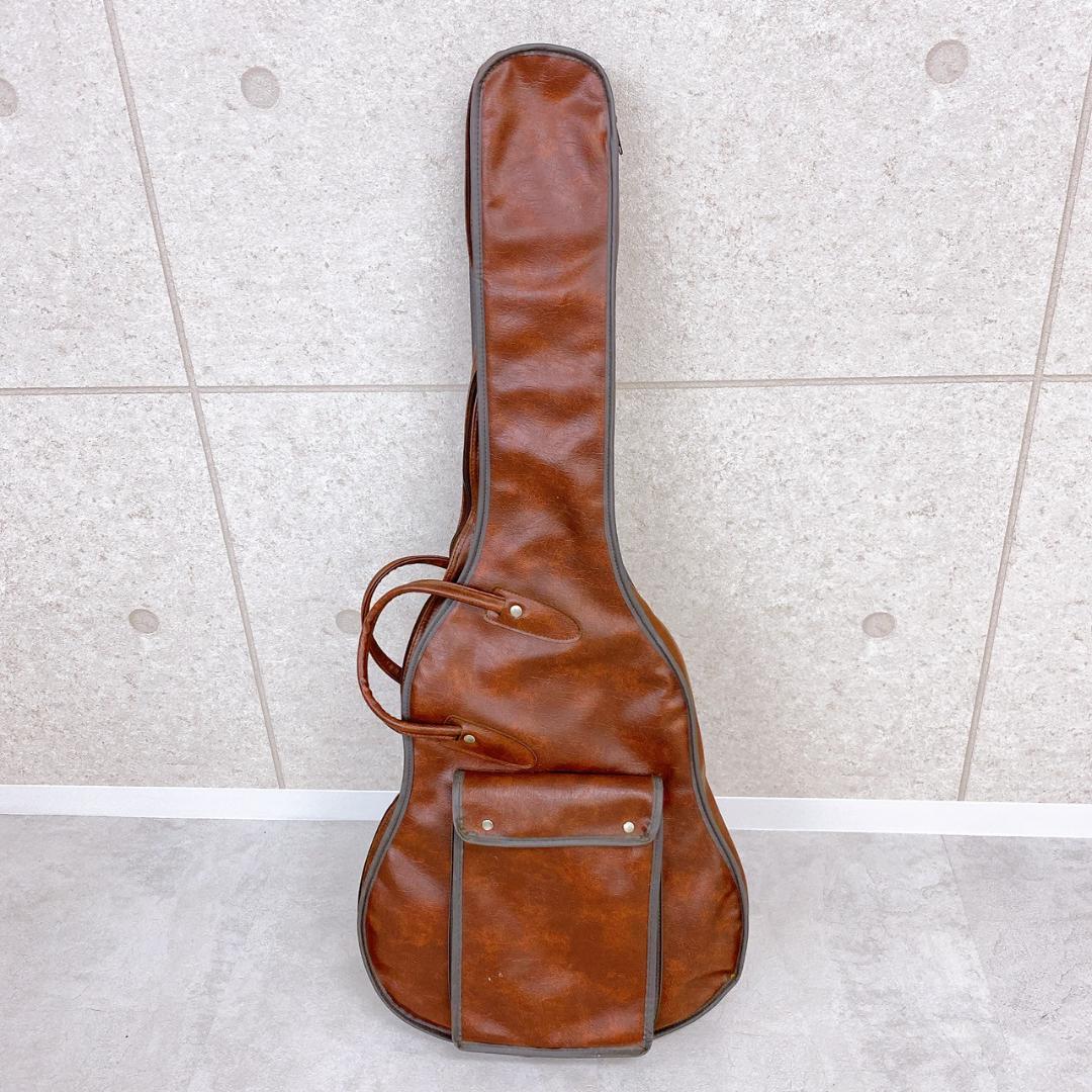 Aria Pro II TA-550　セミアコースティックギター／ソフトケース付