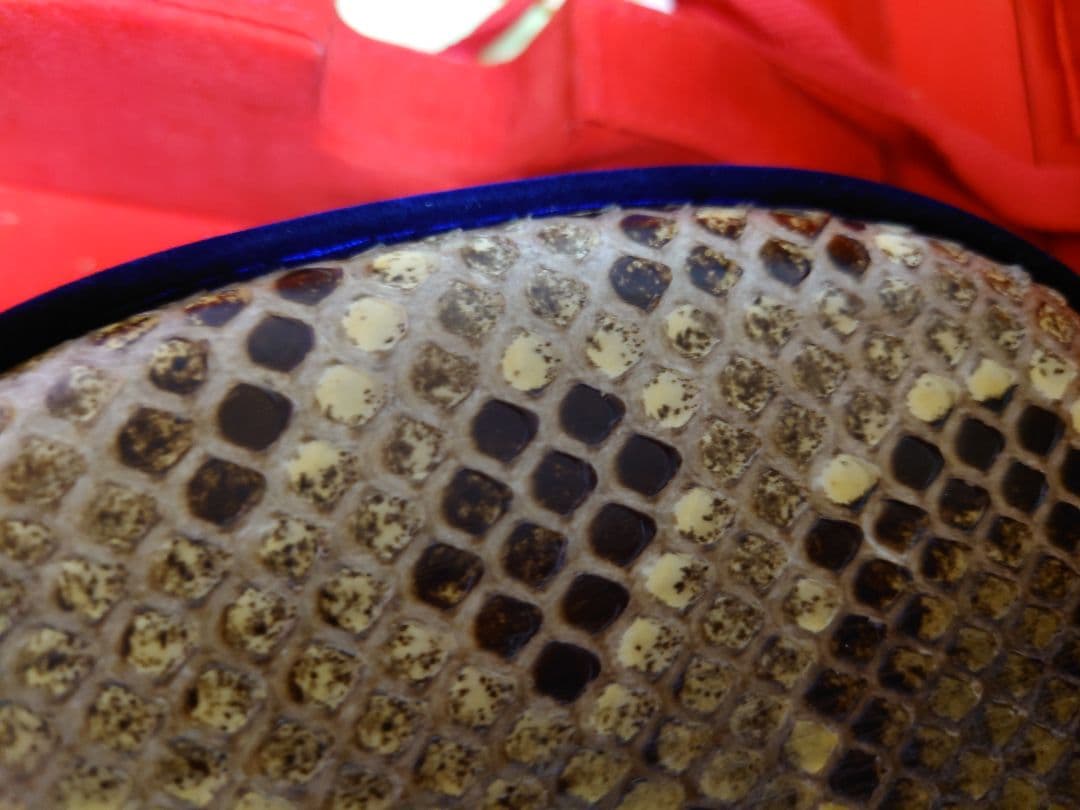 宮古島　与儀三線