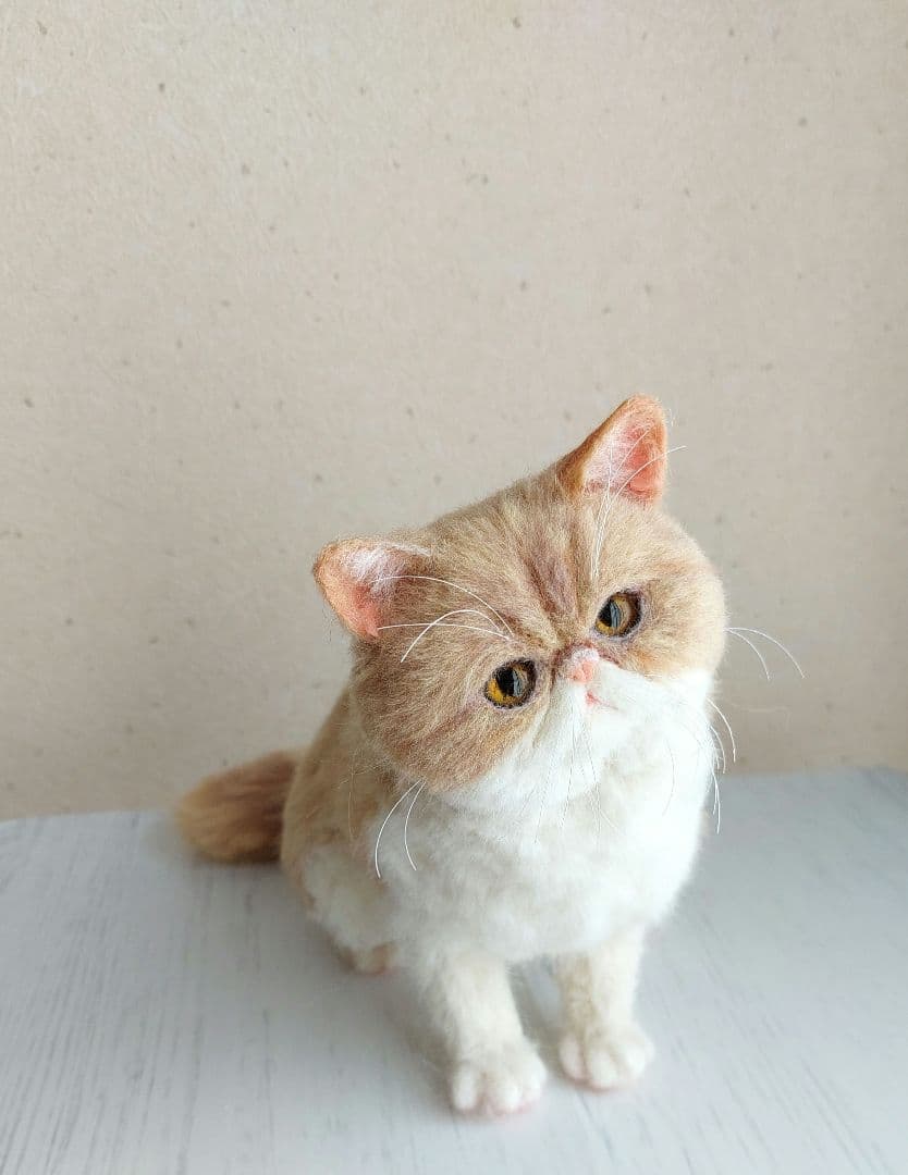 羊毛フェルト　エキゾチックショートヘア