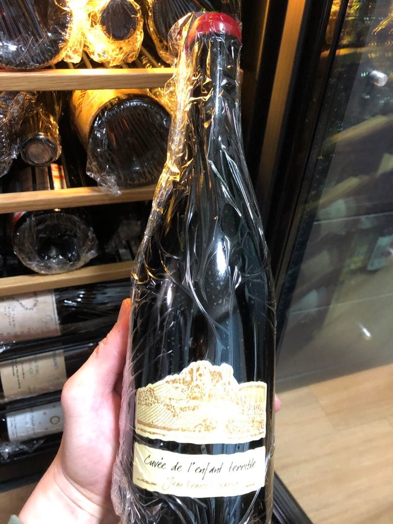 ジャン・フランソワ・ガヌヴァ プールサール ランファン・テリーブル2015