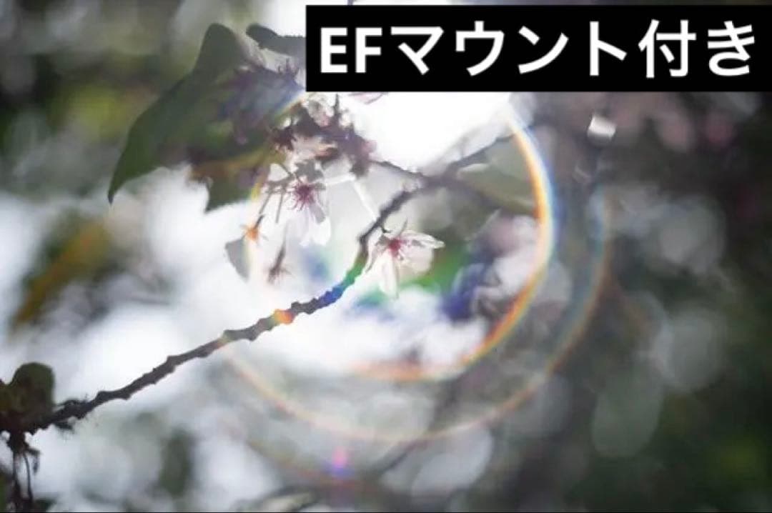 【オールドレンズ】smc takumar 55mm f1.8