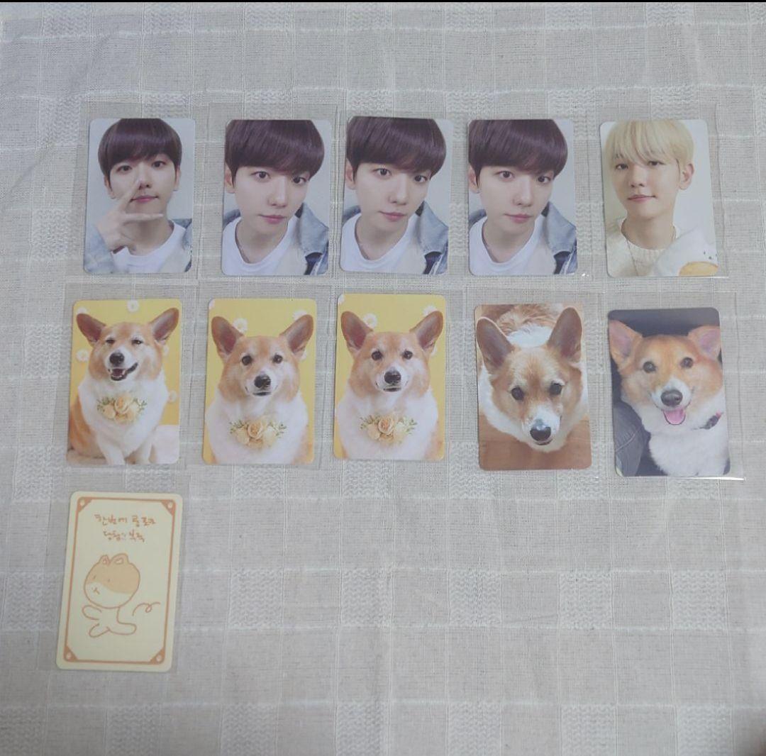 【未開封・おまけ付き】EXO トレギ ベッキョン ぬいぐるみ 80cm