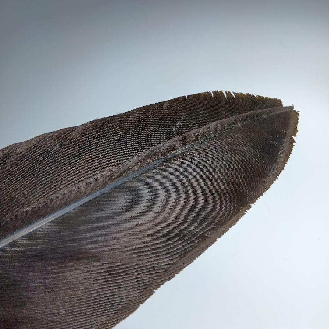 値下げ茶道具　羽箒　全長65センチ